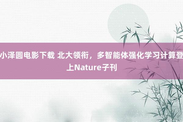 小泽圆电影下载 北大领衔，多智能体强化学习计算登上Nature子刊