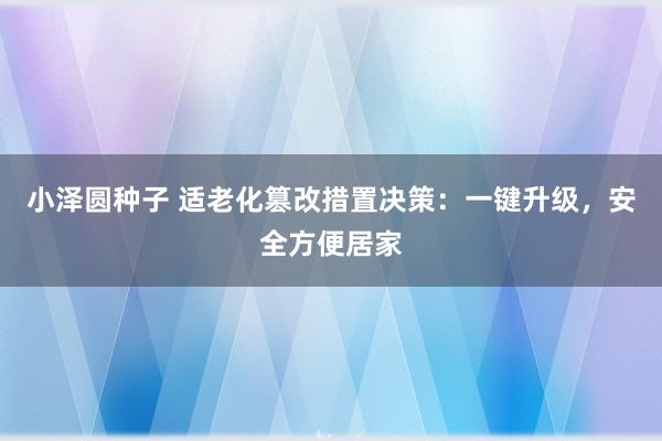 小泽圆种子 适老化篡改措置决策：一键升级，安全方便居家