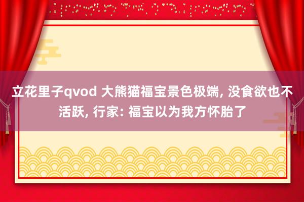 立花里子qvod 大熊猫福宝景色极端， 没食欲也不活跃， 行家: 福宝以为我方怀胎了