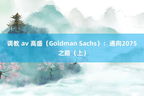 调教 av 高盛（Goldman Sachs）：通向2075之路（上）