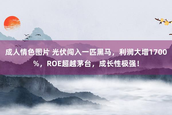 成人情色图片 光伏闯入一匹黑马，利润大增1700%，ROE超越茅台，成长性极强！