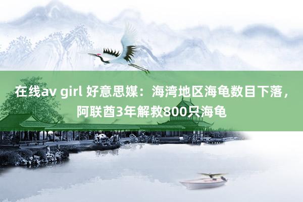 在线av girl 好意思媒：海湾地区海龟数目下落，阿联酋3年解救800只海龟