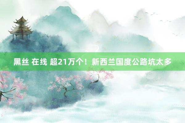 黑丝 在线 超21万个！新西兰国度公路坑太多