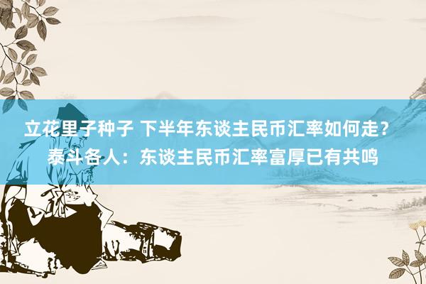 立花里子种子 下半年东谈主民币汇率如何走？ 泰斗各人：东谈主民币汇率富厚已有共鸣