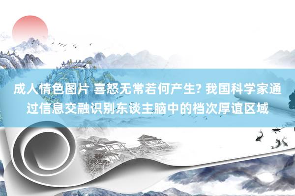 成人情色图片 喜怒无常若何产生? 我国科学家通过信息交融识别东谈主脑中的档次厚谊区域