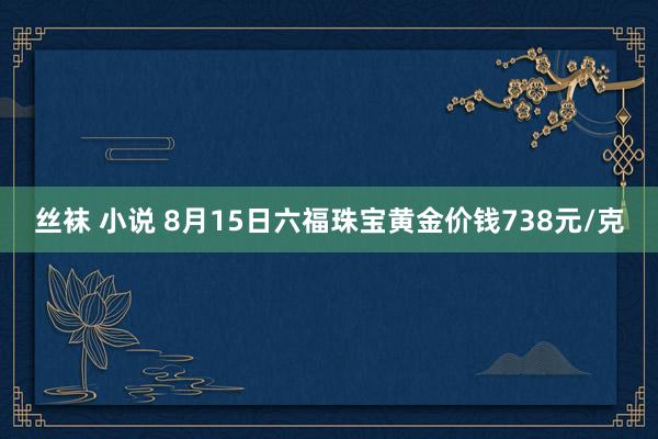 丝袜 小说 8月15日六福珠宝黄金价钱738元/克