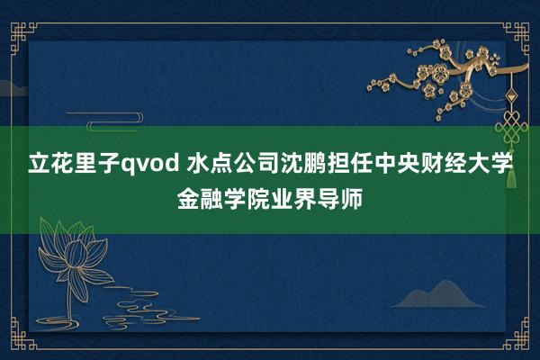 立花里子qvod 水点公司沈鹏担任中央财经大学金融学院业界导师