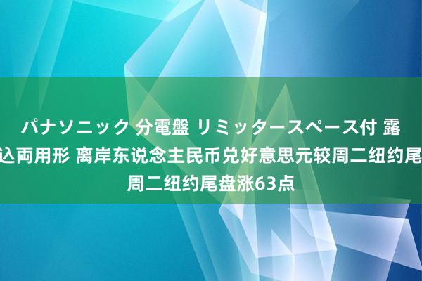 パナソニック 分電盤 リミッタースペース付 露出・半埋込両用形 离岸东说念主民币兑好意思元较周二纽约尾盘涨63点