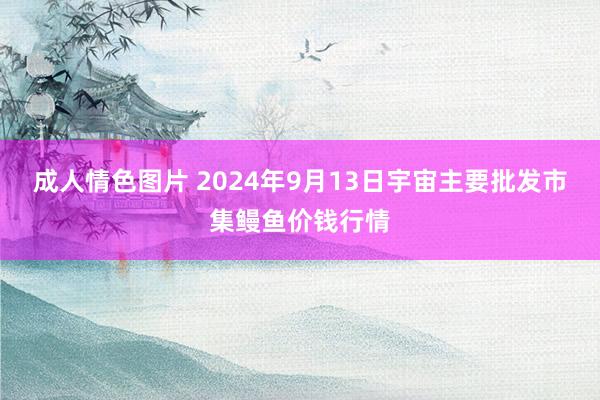 成人情色图片 2024年9月13日宇宙主要批发市集鳗鱼价钱行情