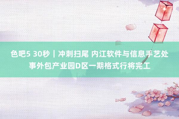 色吧5 30秒｜冲刺扫尾 内江软件与信息手艺处事外包产业园D区一期格式行将完工