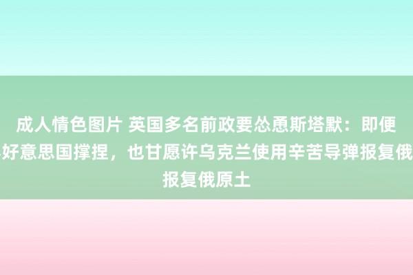 成人情色图片 英国多名前政要怂恿斯塔默：即便莫得好意思国撑捏，也甘愿许乌克兰使用辛苦导弹报复俄原土