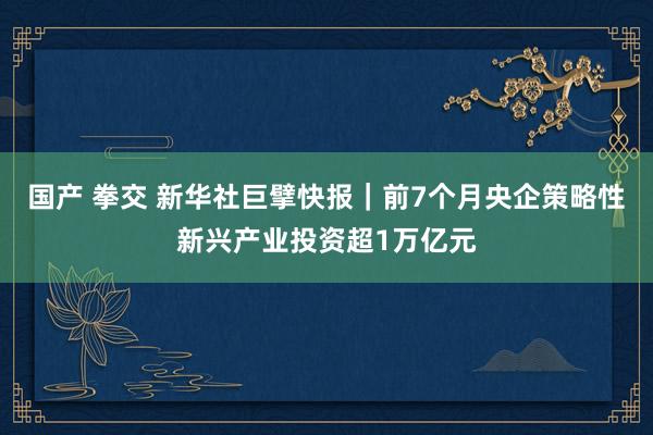 国产 拳交 新华社巨擘快报｜前7个月央企策略性新兴产业投资超1万亿元