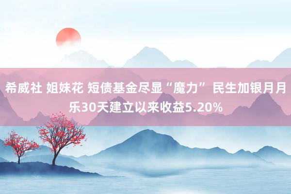 希威社 姐妹花 短债基金尽显“魔力” 民生加银月月乐30天建立以来收益5.20%