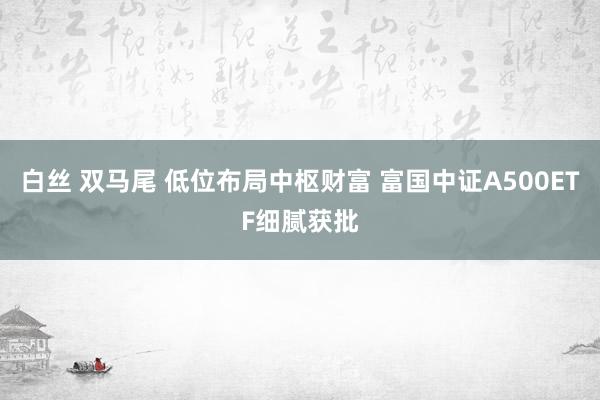 白丝 双马尾 低位布局中枢财富 富国中证A500ETF细腻获批