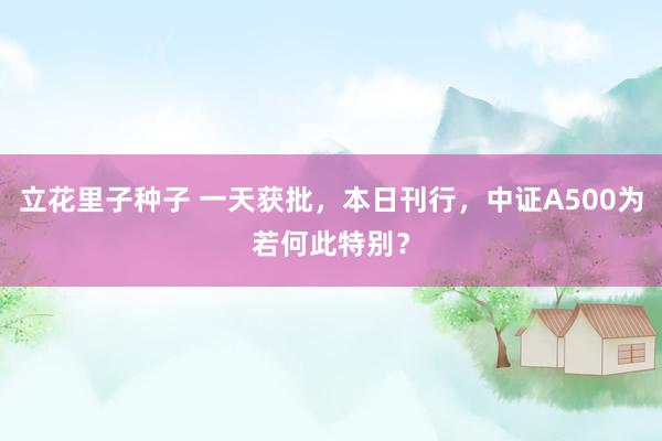 立花里子种子 一天获批，本日刊行，中证A500为若何此特别？