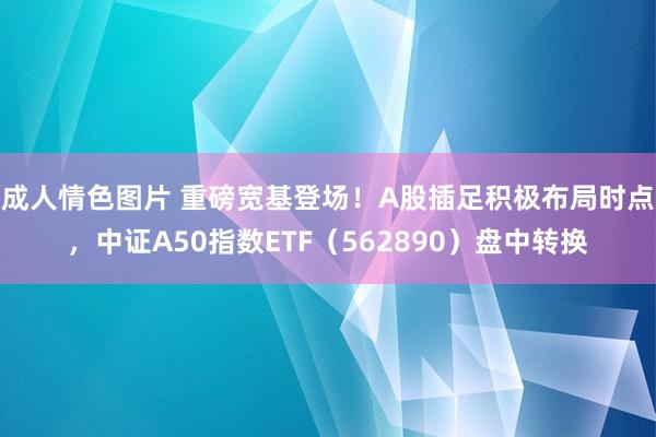 成人情色图片 重磅宽基登场！A股插足积极布局时点，中证A50指数ETF（562890）盘中转换
