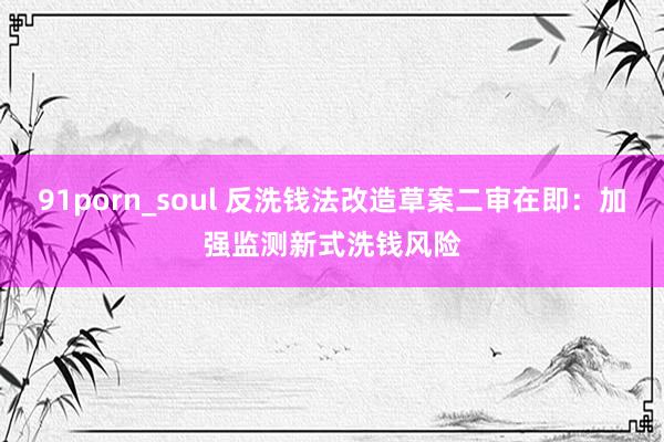 91porn_soul 反洗钱法改造草案二审在即：加强监测新式洗钱风险