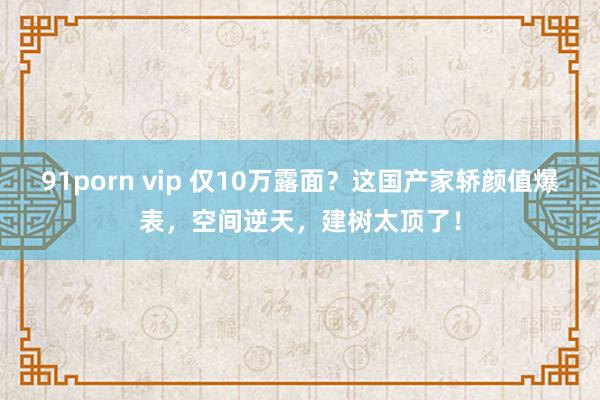 91porn vip 仅10万露面？这国产家轿颜值爆表，空间逆天，建树太顶了！