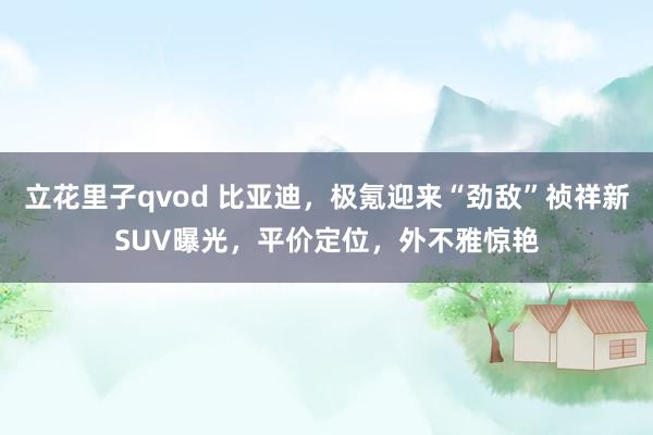 立花里子qvod 比亚迪，极氪迎来“劲敌”祯祥新SUV曝光，平价定位，外不雅惊艳