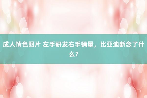 成人情色图片 左手研发右手销量，比亚迪断念了什么？