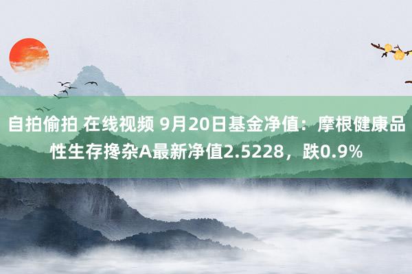 自拍偷拍 在线视频 9月20日基金净值：摩根健康品性生存搀杂A最新净值2.5228，跌0.9%