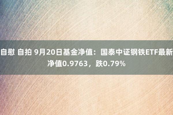 自慰 自拍 9月20日基金净值：国泰中证钢铁ETF最新净值0.9763，跌0.79%