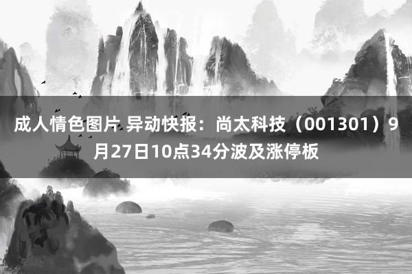 成人情色图片 异动快报：尚太科技（001301）9月27日10点34分波及涨停板
