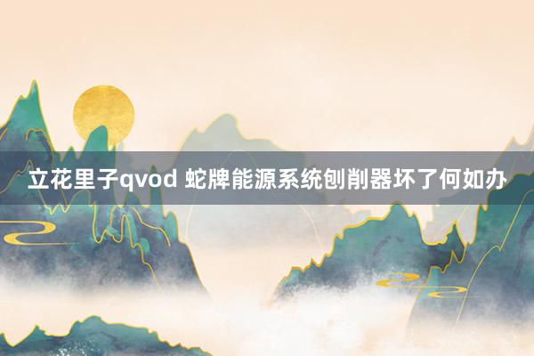 立花里子qvod 蛇牌能源系统刨削器坏了何如办