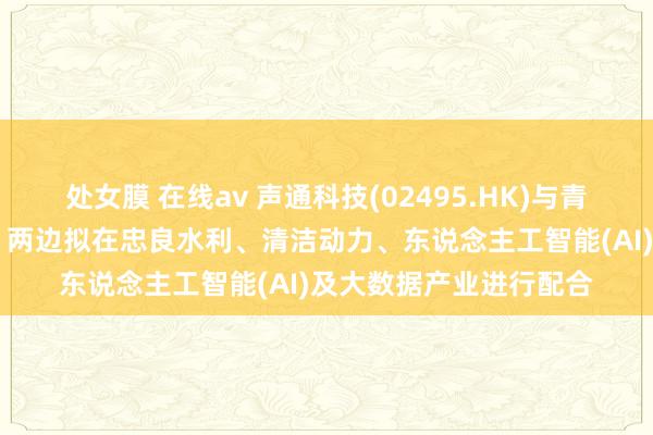 处女膜 在线av 声通科技(02495.HK)与青海水电签订配合备忘录 两边拟在忠良水利、清洁动力、东说念主工智能(AI)及大数据产业进行配合