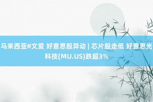 马来西亚#文爱 好意思股异动 | 芯片股走低 好意思光科技(MU.US)跌超3%