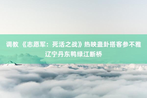 调教 《志愿军：死活之战》热映蛊卦搭客参不雅辽宁丹东鸭绿江断桥