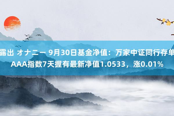 露出 オナニー 9月30日基金净值：万家中证同行存单AAA指数7天握有最新净值1.0533，涨0.01%