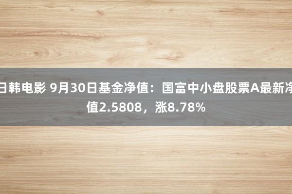 日韩电影 9月30日基金净值：国富中小盘股票A最新净值2.5808，涨8.78%