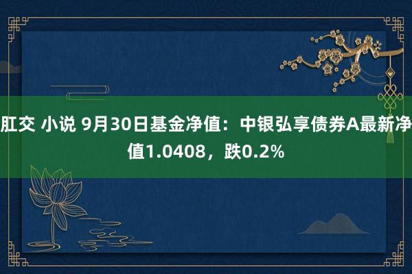 肛交 小说 9月30日基金净值：中银弘享债券A最新净值1.0408，跌0.2%