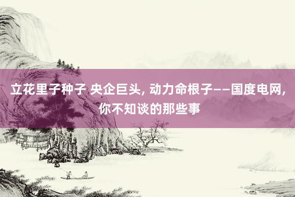 立花里子种子 央企巨头， 动力命根子——国度电网， 你不知谈的那些事