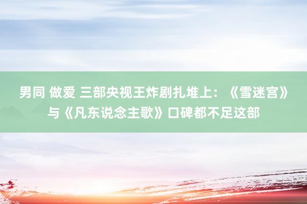 男同 做爱 三部央视王炸剧扎堆上：《雪迷宫》与《凡东说念主歌》口碑都不足这部