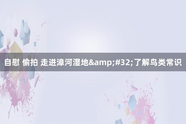 自慰 偷拍 走进漳河湿地 了解鸟类常识