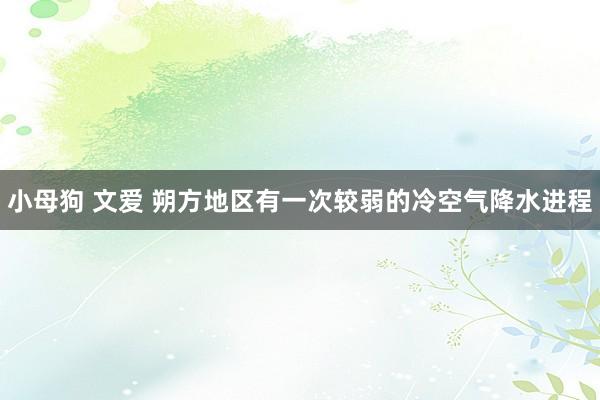 小母狗 文爱 朔方地区有一次较弱的冷空气降水进程