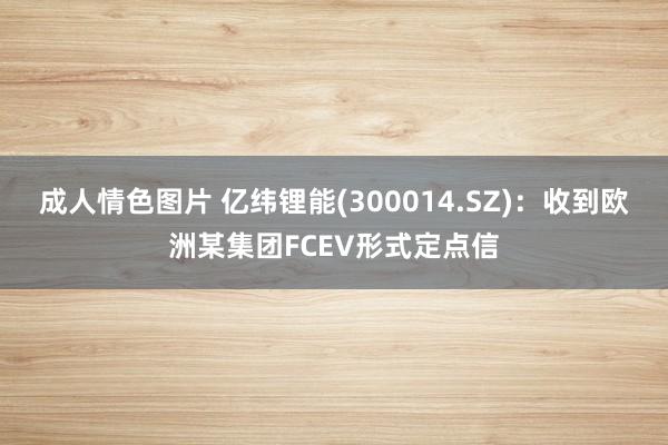 成人情色图片 亿纬锂能(300014.SZ)：收到欧洲某集团FCEV形式定点信