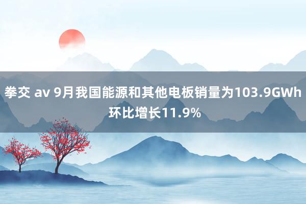 拳交 av 9月我国能源和其他电板销量为103.9GWh 环比增长11.9%