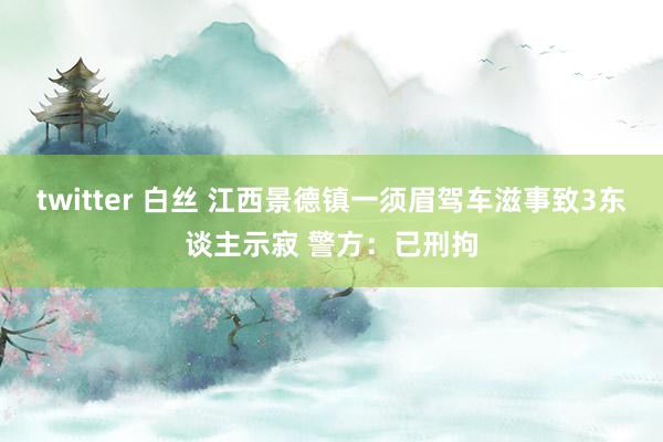 twitter 白丝 江西景德镇一须眉驾车滋事致3东谈主示寂 警方：已刑拘