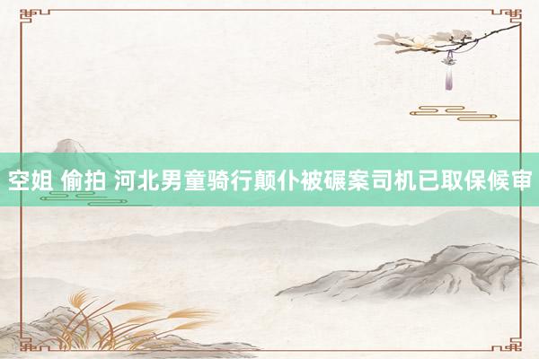 空姐 偷拍 河北男童骑行颠仆被碾案司机已取保候审