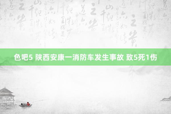 色吧5 陕西安康一消防车发生事故 致5死1伤