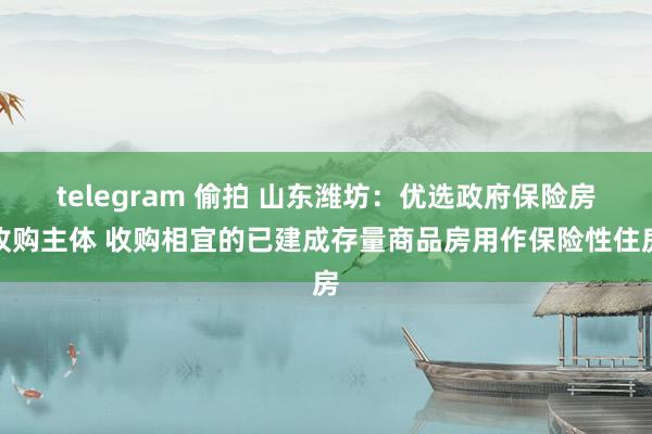 telegram 偷拍 山东潍坊：优选政府保险房收购主体 收购相宜的已建成存量商品房用作保险性住房