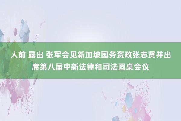 人前 露出 张军会见新加坡国务资政张志贤并出席第八届中新法律和司法圆桌会议