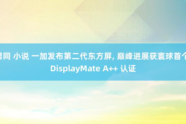 男同 小说 一加发布第二代东方屏， 巅峰进展获寰球首个 DisplayMate A++ 认证