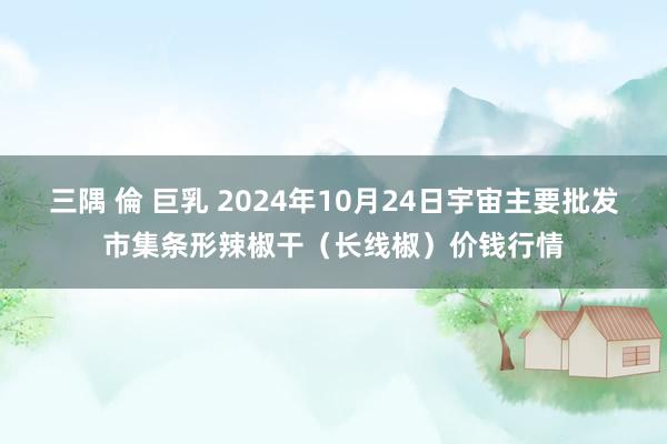 三隅 倫 巨乳 2024年10月24日宇宙主要批发市集条形辣椒干（长线椒）价钱行情