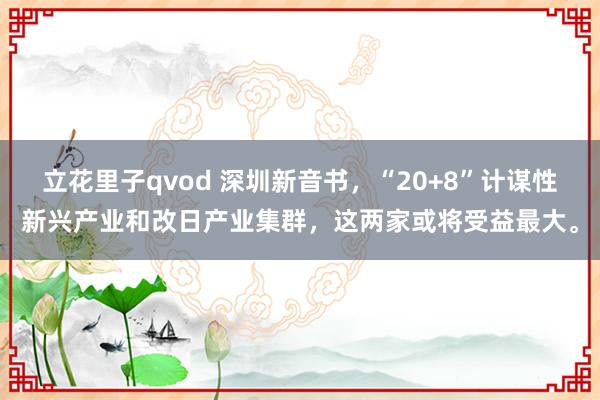 立花里子qvod 深圳新音书，“20+8”计谋性新兴产业和改日产业集群，这两家或将受益最大。