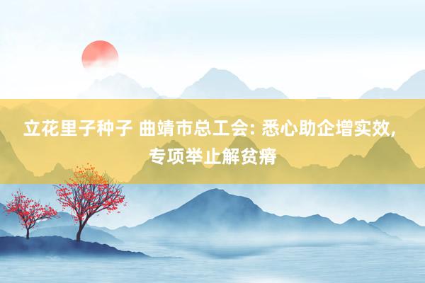立花里子种子 曲靖市总工会: 悉心助企增实效， 专项举止解贫瘠