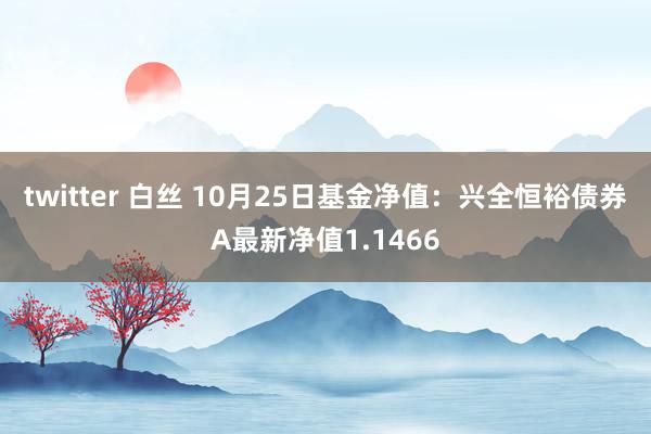 twitter 白丝 10月25日基金净值：兴全恒裕债券A最新净值1.1466